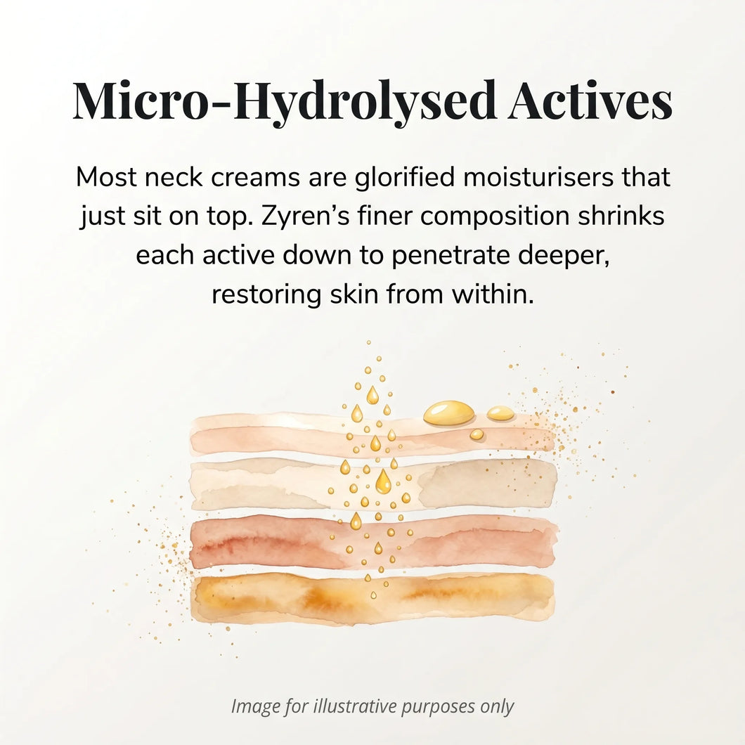 Micro-Hydrolysed Actives infographic: illustration of Zyren Neck Cream actives passing through layers of skin
